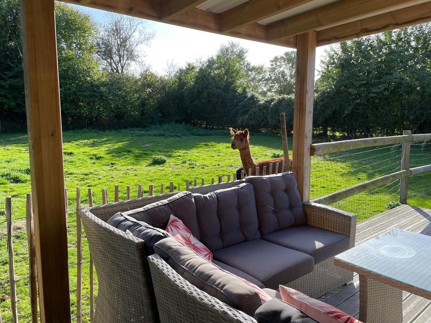 Aux Murmures De La Nature B&B Honfleur Ngoại thất bức ảnh