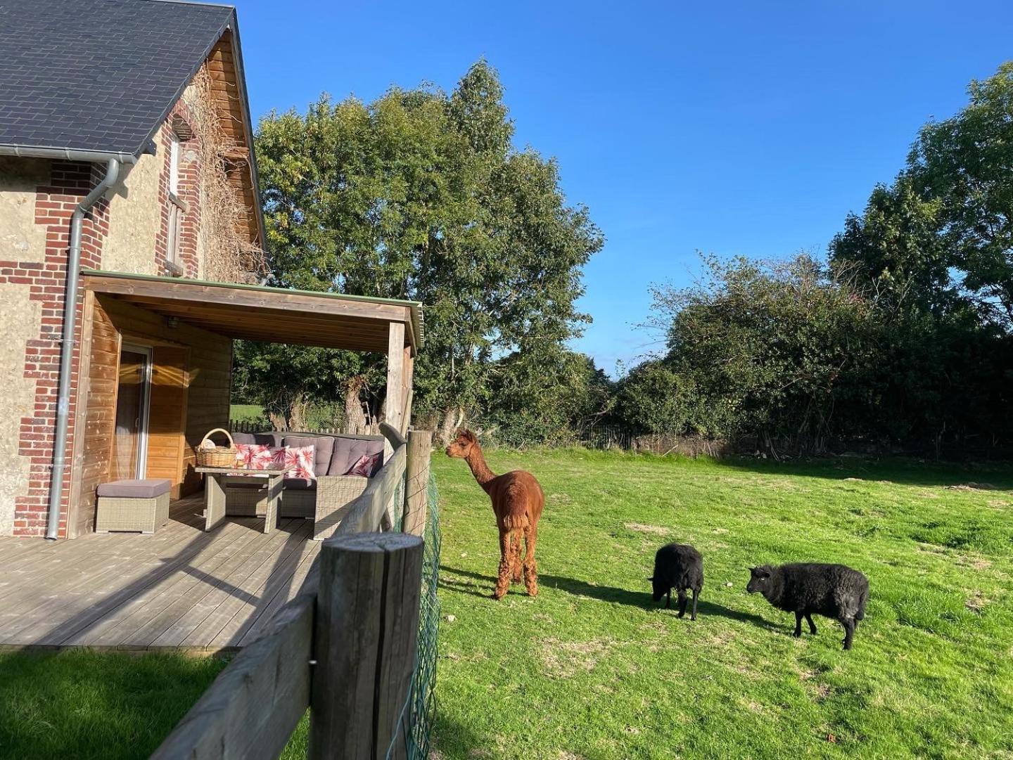 Aux Murmures De La Nature B&B Honfleur Ngoại thất bức ảnh